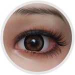 Brown (Regular Eyes)